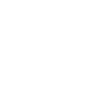 nVoqWhite@2x
